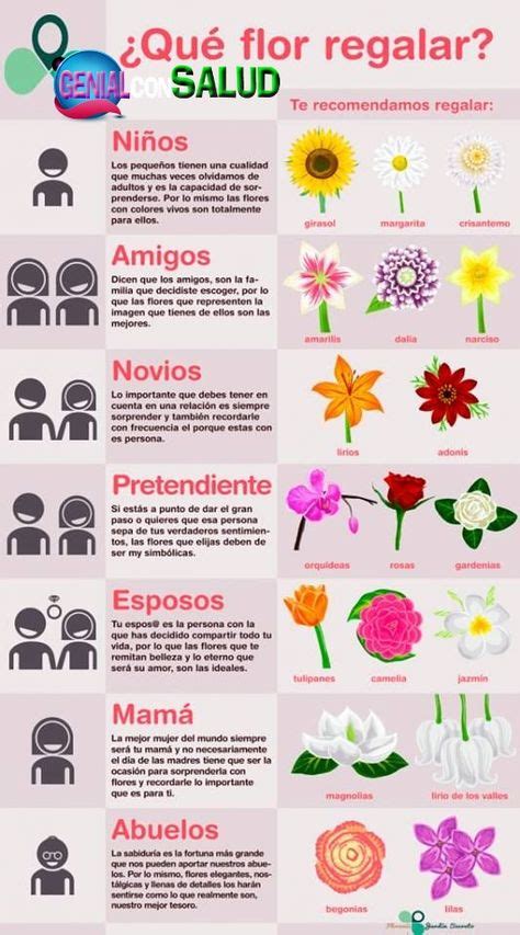 Armonia . de color . | Nombres de flores, Significado de las flores ...