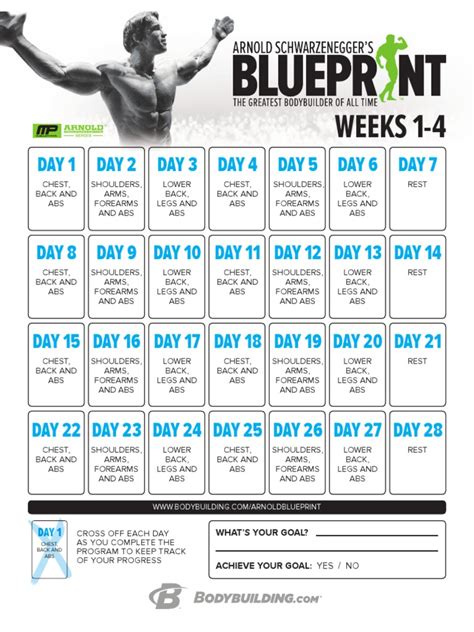 Arnold schwarzenegger workout routine for beginners pdf
