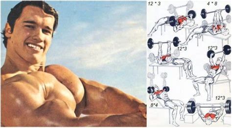 Arnold’s Classic 4 Exercise Chest Workout   GymGuider.com ...