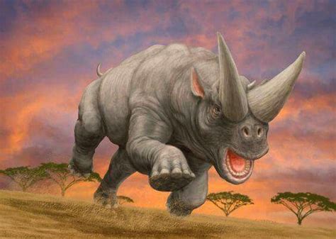 Arsinoitherium | Prehistoric animals, Prehistoric wildlife, Extinct animals