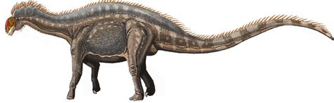 Art illustration   Dinosaurs   Dicraeosaurus: is a genus of sauropod ...