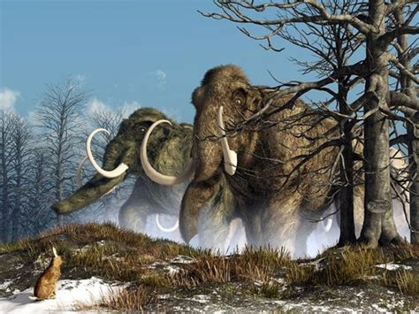Art illustration   { Prehistoric Animals } | Animales de la prehistoria ...