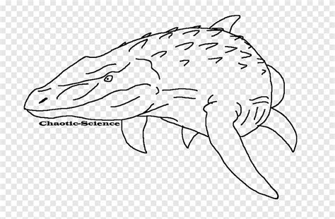 Arte de línea del mosasaurus dibujo tilosaurio, diverso, mamífero ...