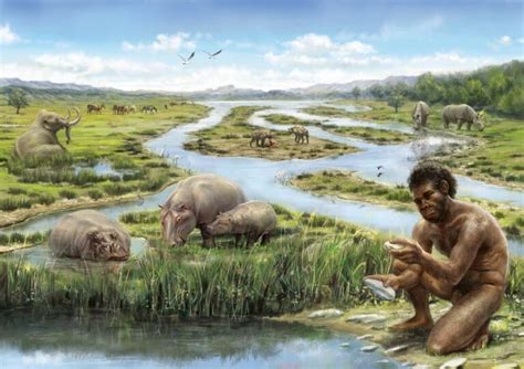 Aseguran que la depredación humana causó la extinción de la megafauna ...
