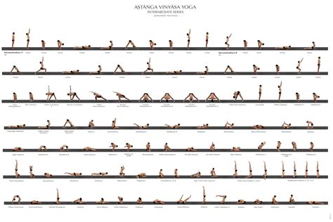 Ashtanga Yoga Intermediate Series Poster – Daily Cup of Yoga