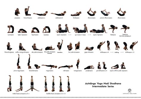 Ashtanga Yoga Paris: Intermediate Series Practice Sheets