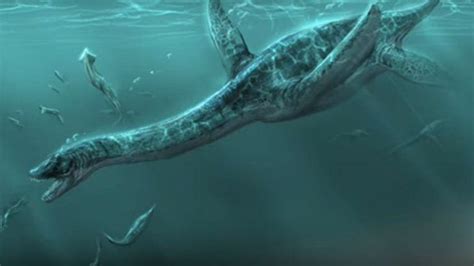 Así era el dinosaurio marino gigante que vivió en la Patagonia ...