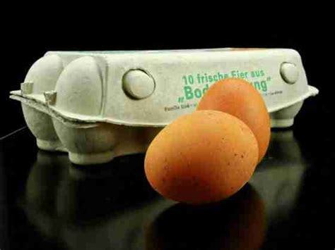 Así es la clasificación de los huevos que compras habitualmente ...