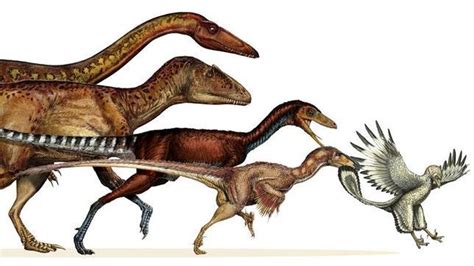 Así evolucionaron los dinosaurios hasta convertirse en aves