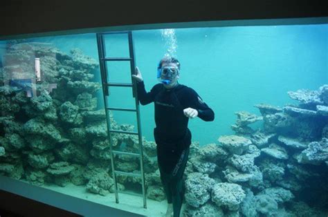 ASOMBROSO: Hombre construye un acuario gigante en su casa