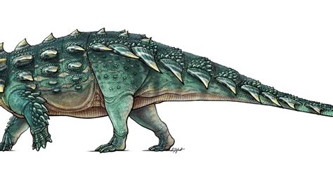 Asombrosos fósiles de dinosaurio acorazado con la cola en forma de garrote