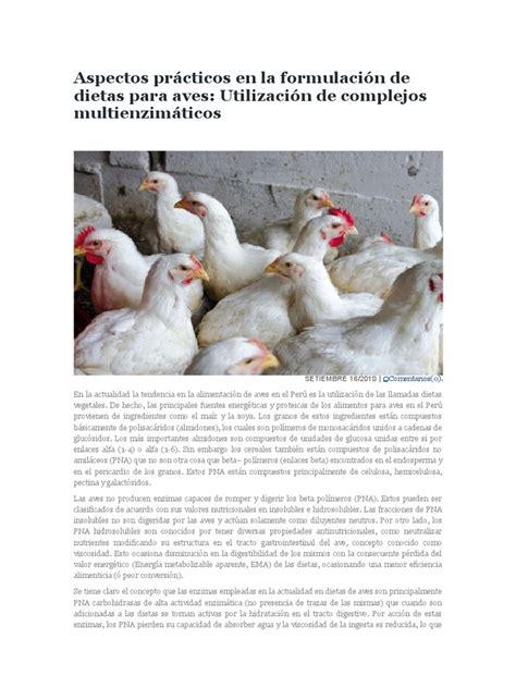 Aspectos Prácticos en La Formulación de Dietas Para Aves | Dieta ...