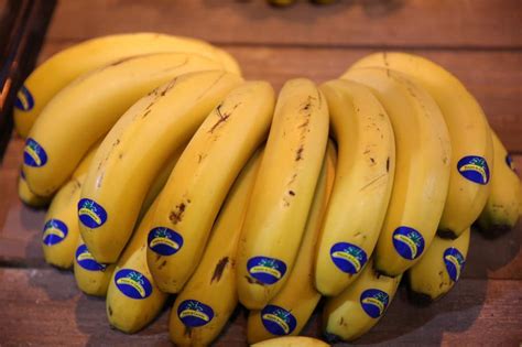 Asprocan inicia la exportación de plátano a Marruecos