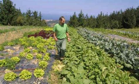 Asturias teme perder 4,6 millones con la nueva Política Agraria Común ...