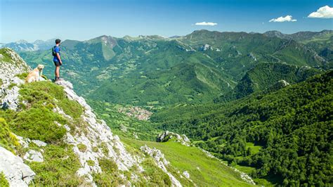 Asturias: Turismo seguro, el sector pide suprimir peajes y ampliar terrazas