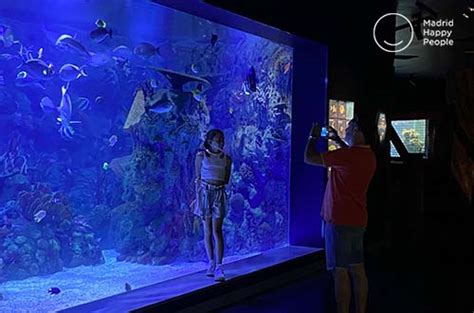 Atlantis Aquarium: Descuento y Novedades – Madrid Happy People