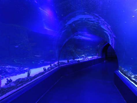 Atlantis Aquarium, Madrid, Spanien