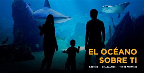 Atlantis Aquarium Madrid | Turismo Madrid