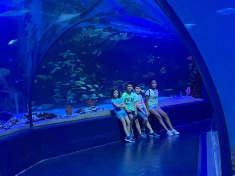 Atlantis Aquarium, un acuario diferente en Madrid