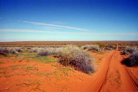 Australia to Cut Funding for Long Term Ecological Research Yale E360