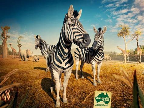 Australia Zoo  Beerwah  : 2018 Ce qu il faut savoir pour votre visite ...