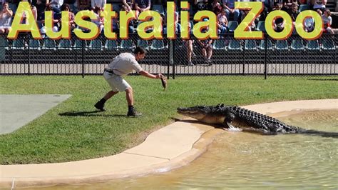 Australia Zoo | Steve Irwin | Vegan | VLOG   YouTube