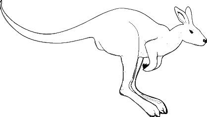 Australian Animals Drawing at GetDrawings | Free download