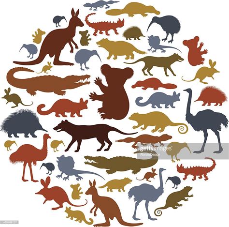 Australian Animals Icon Collage High Res Vector Graphic   Getty Images