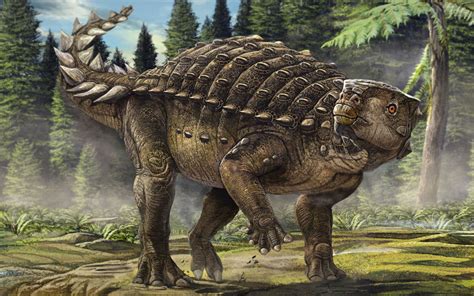 Australian scientists discover new dinosaur species – the ...
