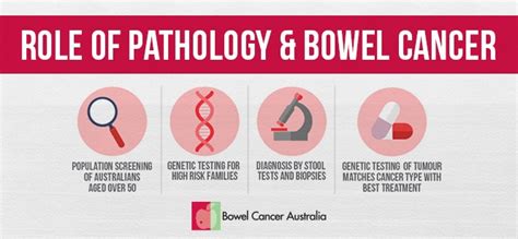 Australians at risk due to poor bowel cancer knowledge ...