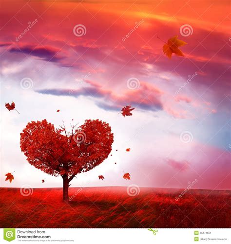 Autumn Landscape With Love Tree Stock Image Image: 45171551