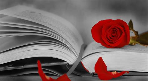 Avantgrup Sant Jordi Dia del libro y de la rosa cultura y ...