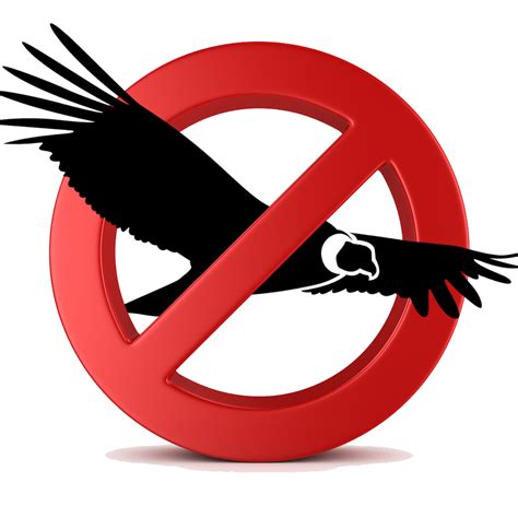 Aves Argentinas en Peligro de Extinción!!: Se viene el Gran Día Mundial ...