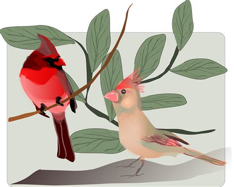 Aves Canto De Los Pájaros · Gráficos vectoriales gratis en ...