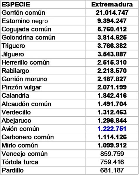 Aves de Extremadura: LAS AVES MÁS COMUNES DE EXTREMADURA