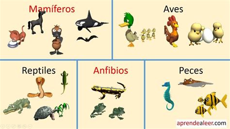 Aves peces y reptiles Tipos de Reptiles