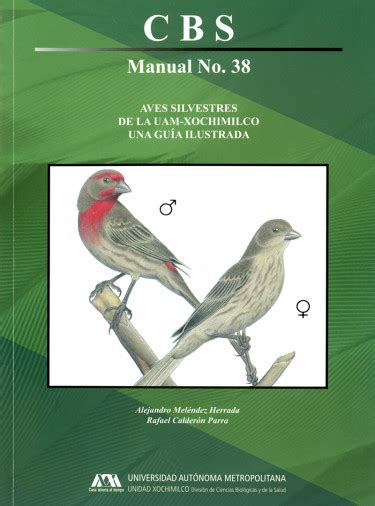 Aves silvestres de la UAM Xochimilco   Altexto