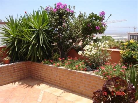 Ayuda para mejorar mi jardín en la provincia de Buenos ...