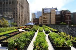 Azoteas y patios son convertidos en cultivos urbanos en EE ...