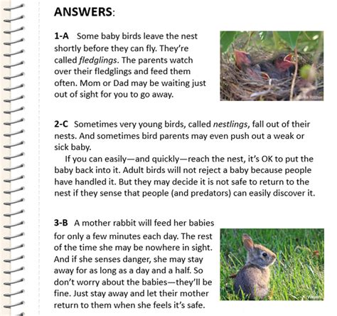 Baby Animal Quiz Answers   NWF | Ranger Rick