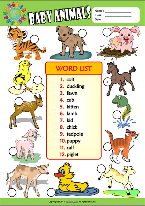 Baby Animals ESL Vocabulary Number The Pictures Worksheet For Kids ...