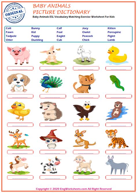 Baby Animals Printable English ESL Vocabulary Worksheets   EngWorksheets