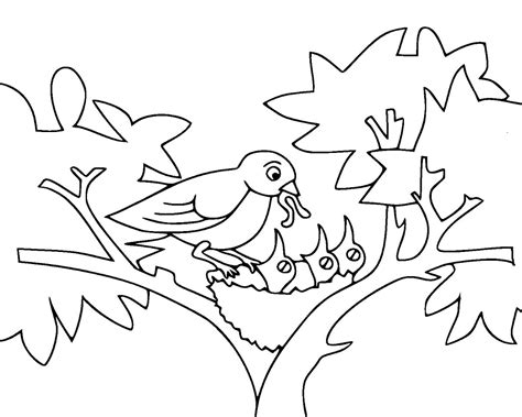 Baby Birds Coloring Page   Free Printable Coloring Pages ...