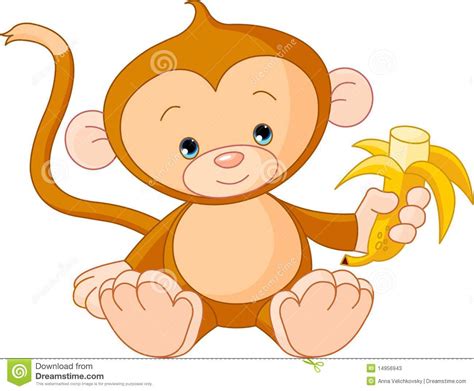 Baby Monkey Eating Banana Stock Photos   Image: 14956943