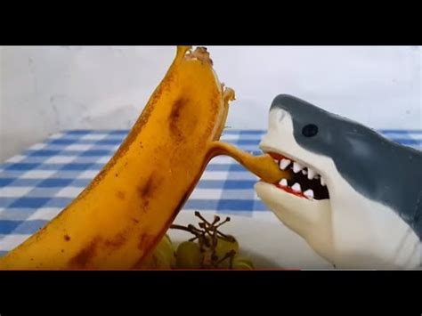 baby shark eats banana kids song   YouTube