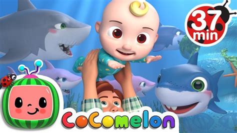 Baby Shark +More Nursery Rhymes & Kids Songs Cocomelon ...