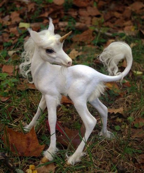 Baby Unicorn