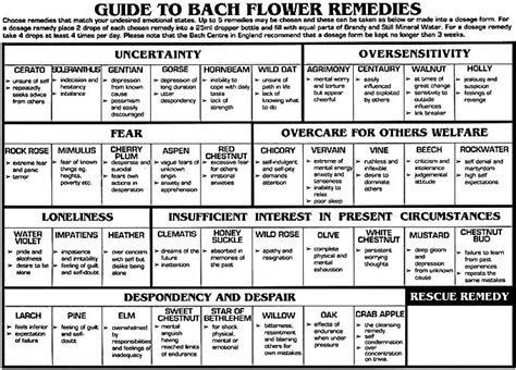 Bach Flower Essences for Breaking Addiction   A hangover ...
