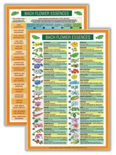 Bach Flower Essences Mini Chart – healthandharmony