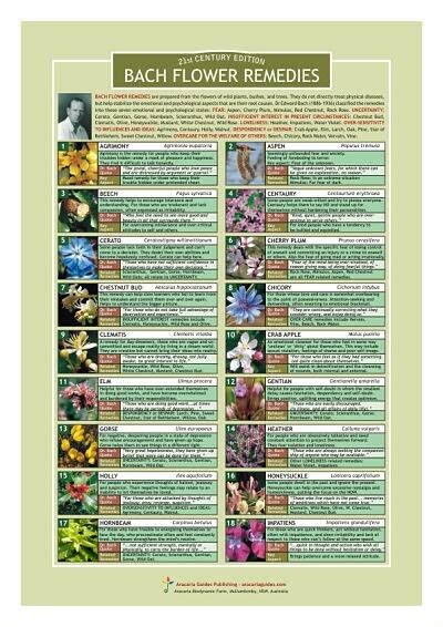 Bach Flower Remedies Information Resource Chart